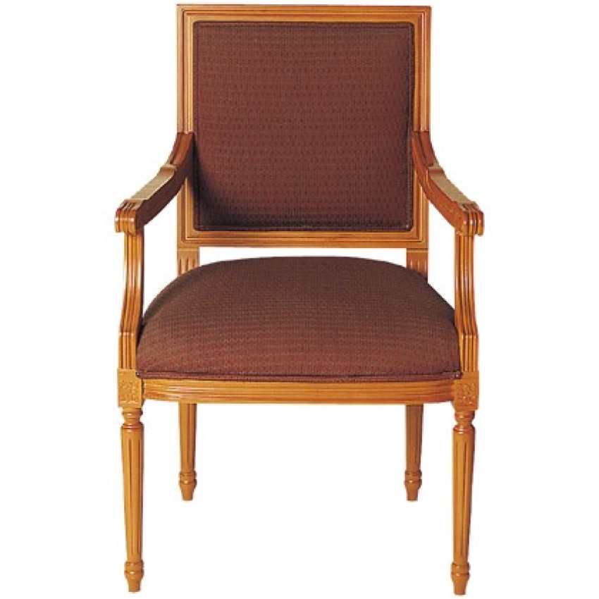 AN2007 - Carver AN2007 - Carver