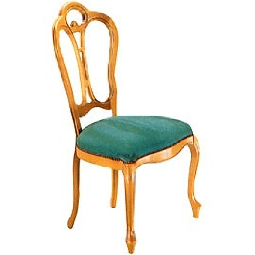 Kidney Back Kidney Back